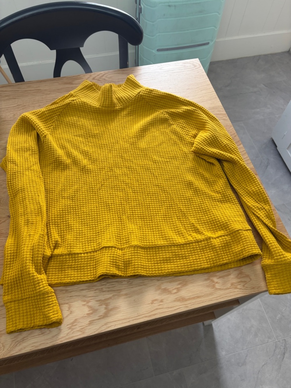 North Face Women's Long Sleeve Mock Neck Chabot sweater